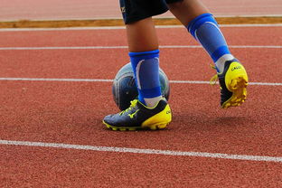 华体会app功能-中国足球联赛加强与国际转会市场信息实时对接，中国足协转会窗口